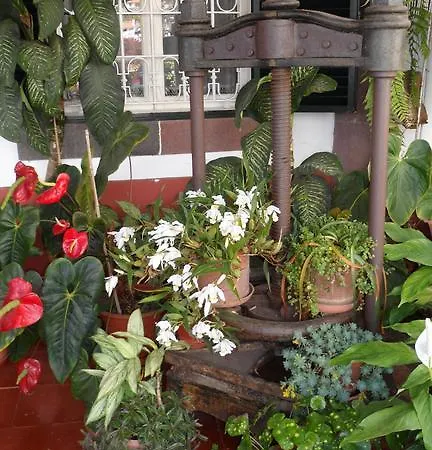Pensionat Quinta Da Fonte Funchal (Madeira)
